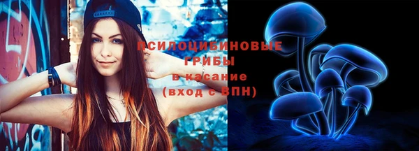 стафф Богородицк