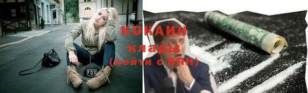 шишки Богородск