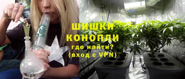 шишки Богородск